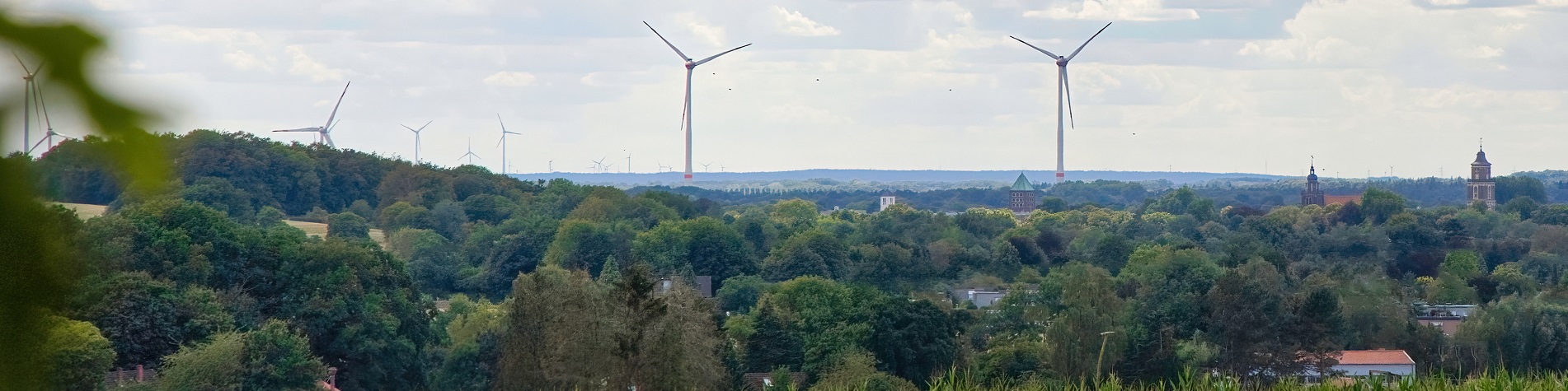  Blick_auf_Coesfelder_Kirchtuerme-neu1-1900x475px.jpg